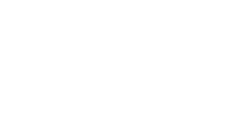 ION8