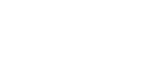 ION8